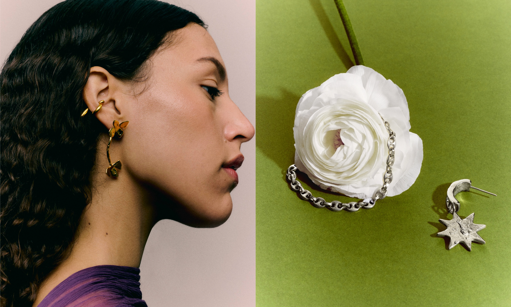 Explore the Collection